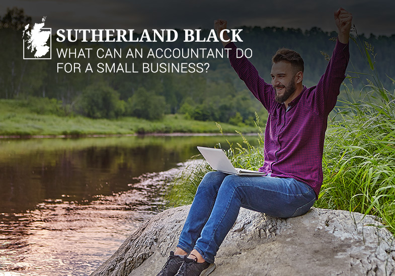 what can an accountant do for a small business