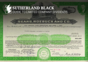 limited company dividends guide