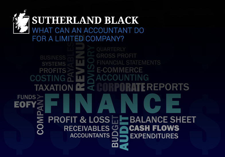 what can accountant do for a limited company